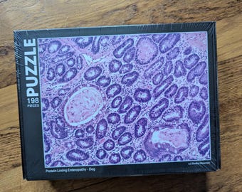 Canine Protein Enteropathy Puzzle