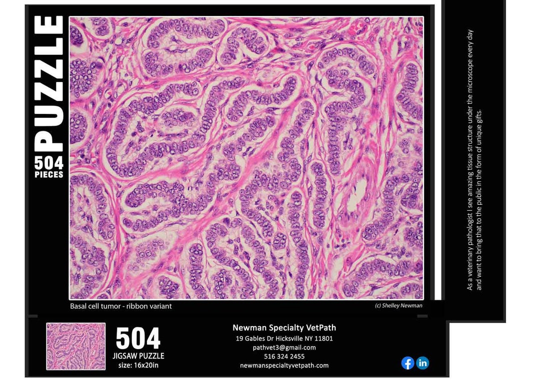 Puzzle Ribbon Variant Basal Cell Tumor From a Dog - Etsy