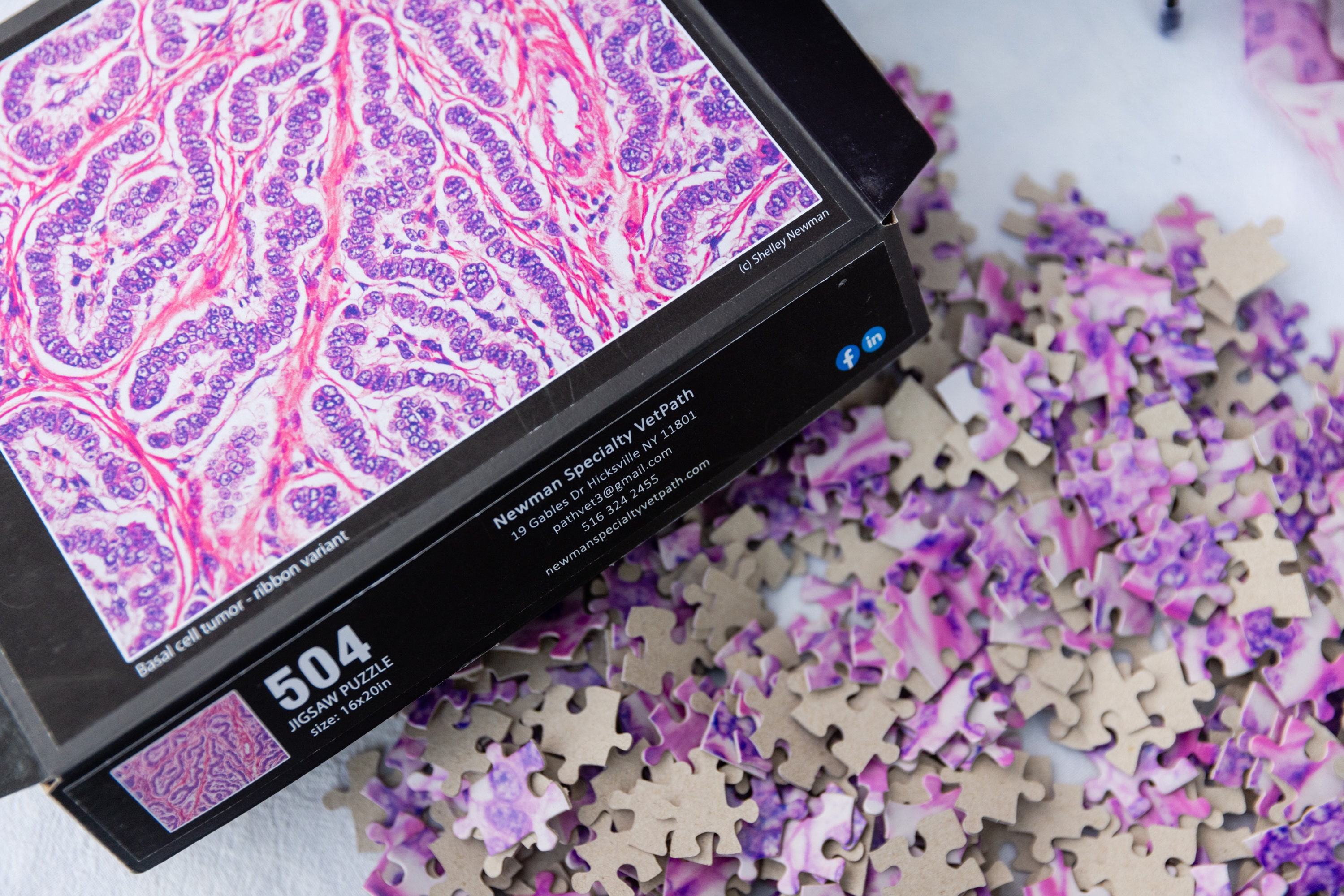 Puzzle - Ribbon Variant Basal Cell Tumor From a Dog - Etsy