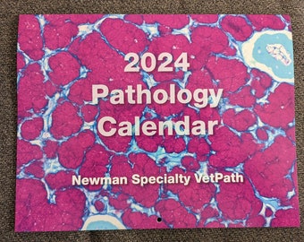 2024 Special stains calendar