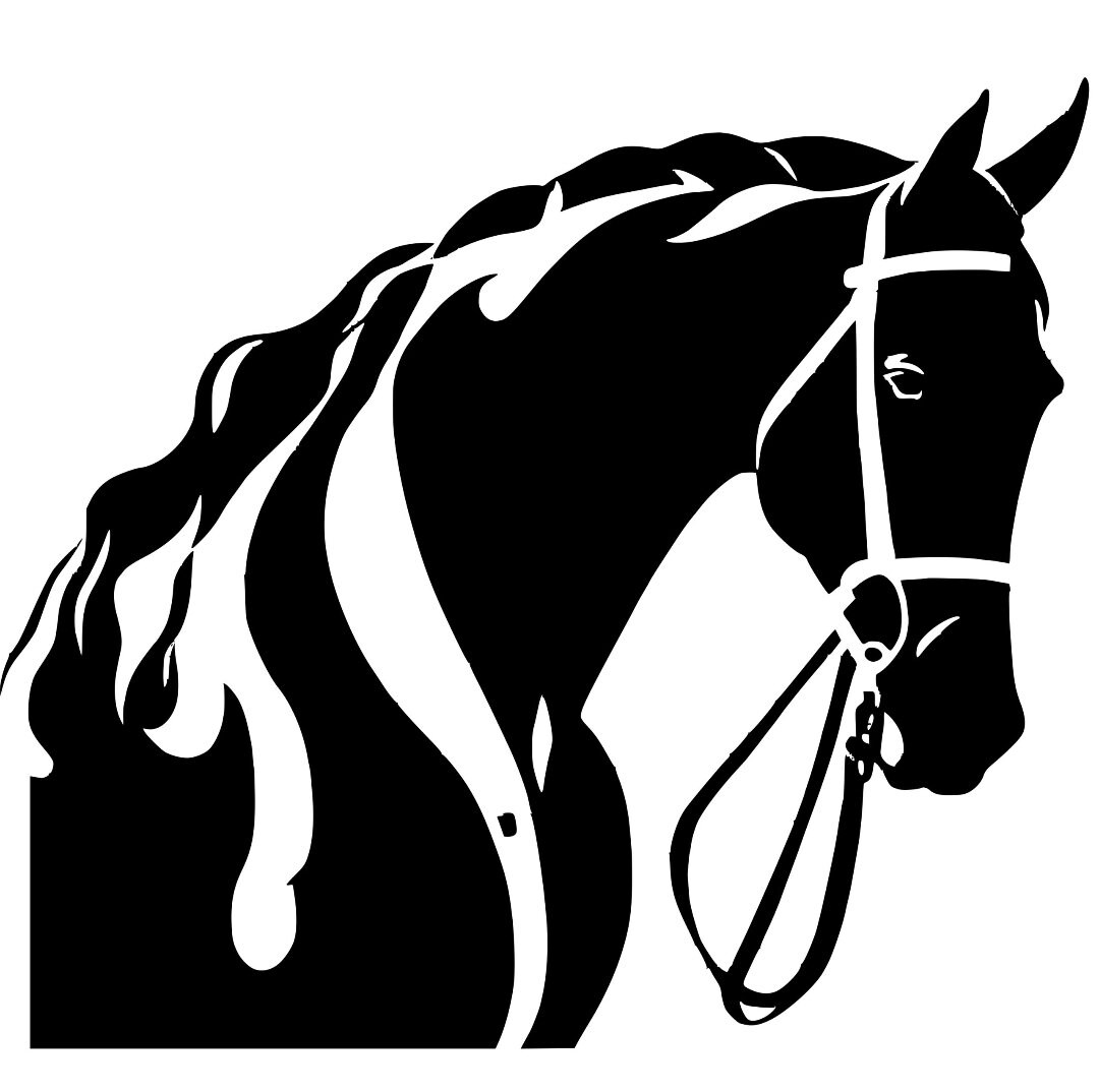 Beautiful Horse Decal Car Window Decal Truck Window Lap Etsy