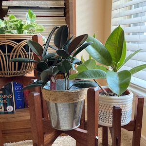 May include: Two wooden plant stands with a dark brown finish. The stands are in a living room setting with a light brown carpet. The stands are holding potted plants.