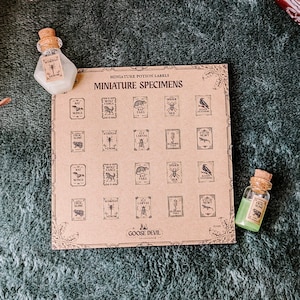 May include: A collection of miniature potion labels and two small glass bottles with cork stoppers. The labels are printed on a tan card and feature various ingredients like "Bat Wings" and "Frog Slime". The bottles contain a white and green liquid.