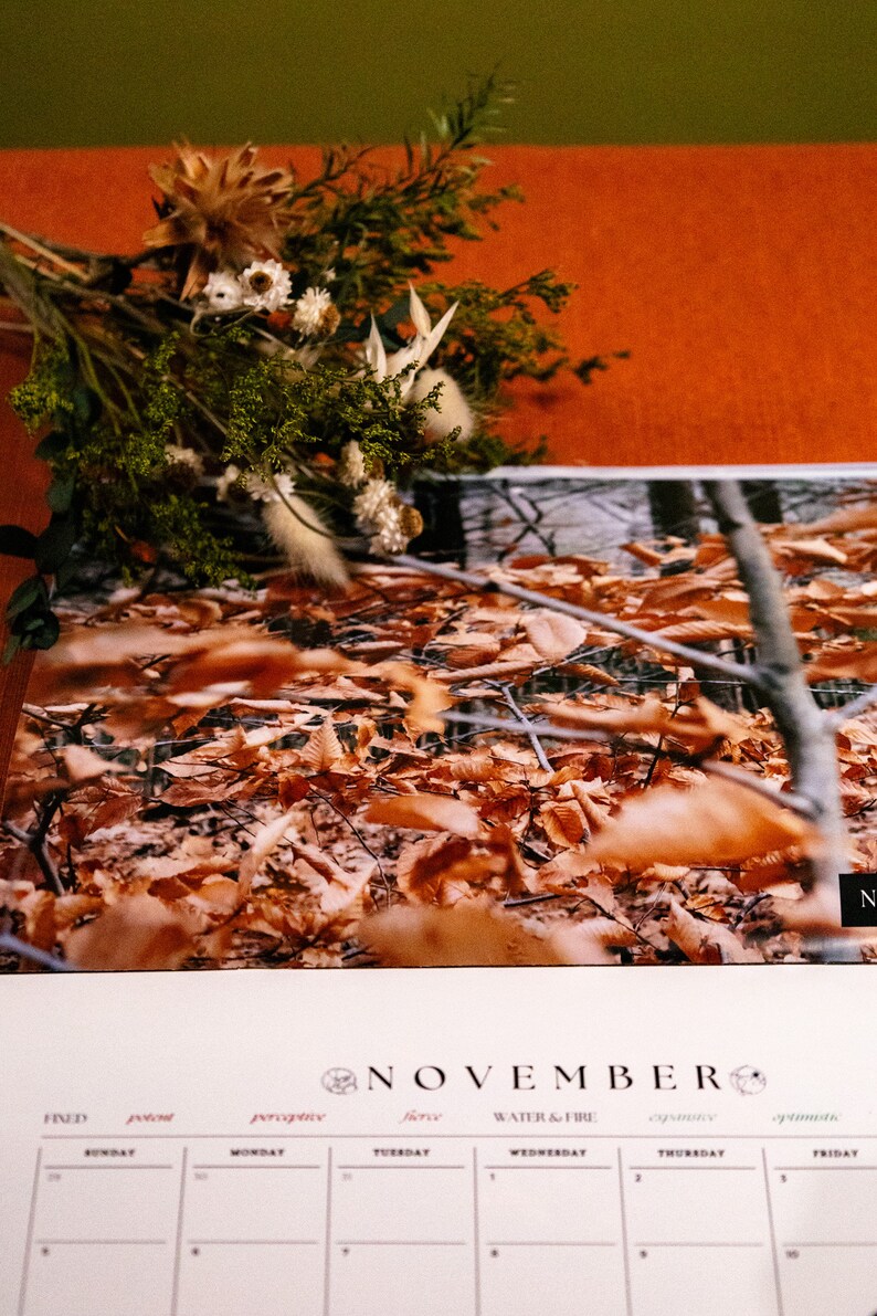 2023 Calendar 2023 Wall Calendar 2023 Nature Calendar 2023 Astrology