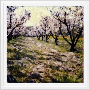 Wandkunst Polaroid Art Reproduction SX-70 Fotografie Digital Download Fotokunst