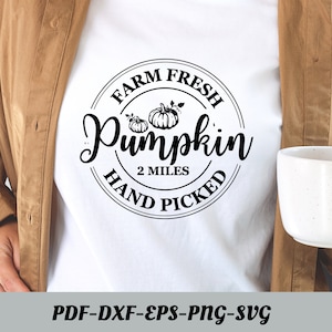Pumpkin SVG ,Pumpkin Bundle Svg ,Fall Pumpkin Svg,Silhouette Cameo,Cricut, Cutting Files, Svg Files,Pumpkin clipart ,Pumpkin set svg,DXF EPS