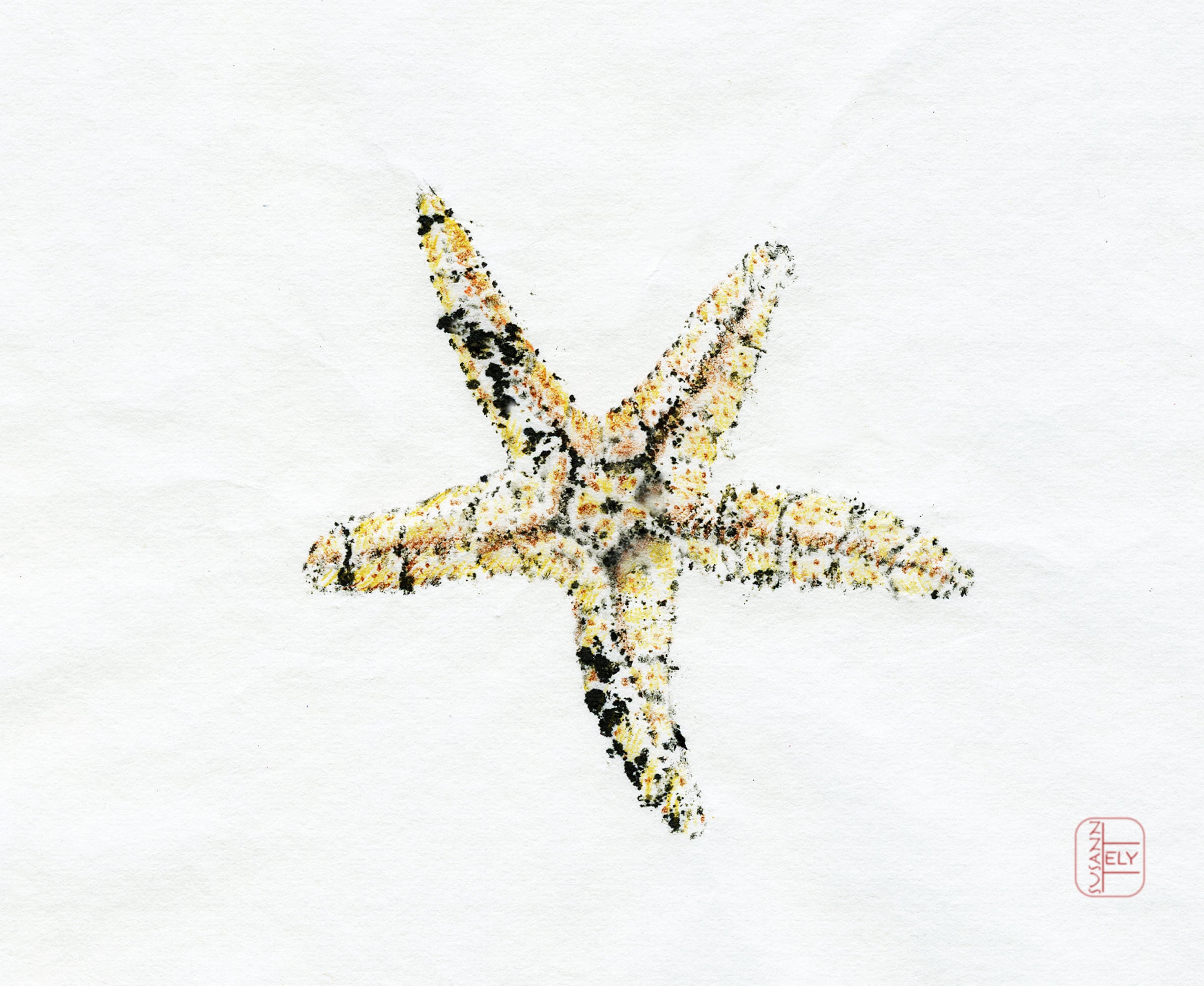 Gyotaku Sea Life Note Cards: Starfish, Abalone, Shrimp - Etsy