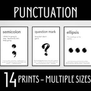 Punctuation Posters, Punctuation Prints, Middle School Punctuation, English Grammar Posters, English Classroom Decor, English Teacher Gifts