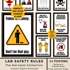 Grappige posters met veiligheidsregels in het wetenschapslab: laboratoriumrichtlijnen voor wetenschapsposters op de middelbare school
