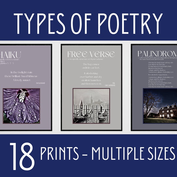 Types of Poetry Posters, Poetic Forms, English Classroom Decor, Types of Poems, High School Poetry, Poetic Elements, Classic Poems Prints
