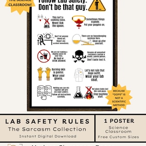 May include: A framed poster titled Follow Lab Safety. Don't be that guy. It features ten illustrated icons with safety warnings including text like Never lick the spoon, Put your goggles on, and Wear your lab coat. The design uses black, white, and yellow.