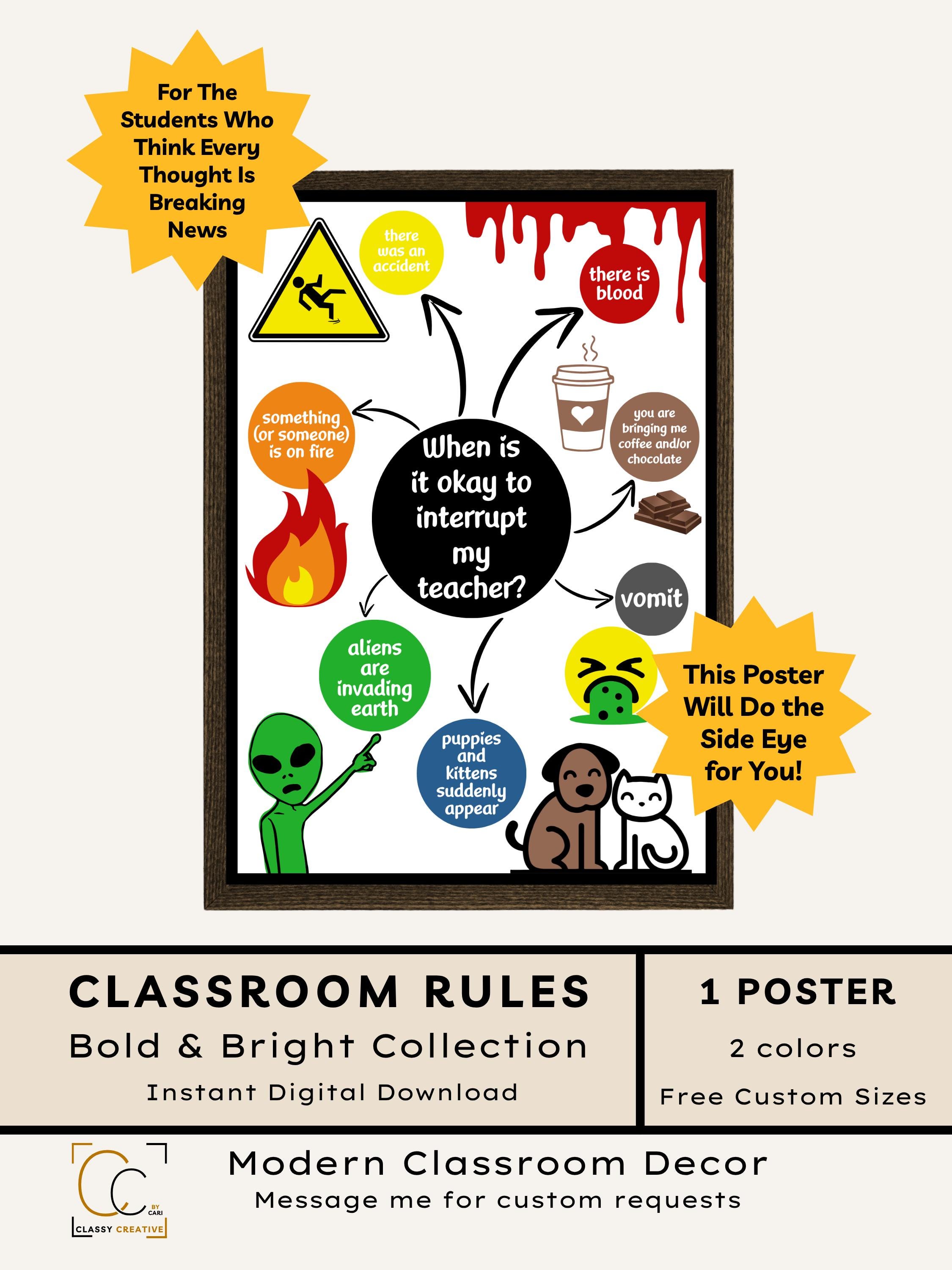 Funny Classroom Rules Poster: Middle School Class Behavior