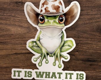 It Is What It Is Sticker, Funny Frog Meme Sticker, Cowboy Toad Sticker, Gen Z Humor, Cute Waterproof Stickers, Gift