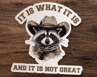 It Is What It Is Raccoon Sticker, Funny Raccoon Meme Sticker Vintage Raccoon Sticker, Millennial, Gen Z Humor, Cute Raccoon