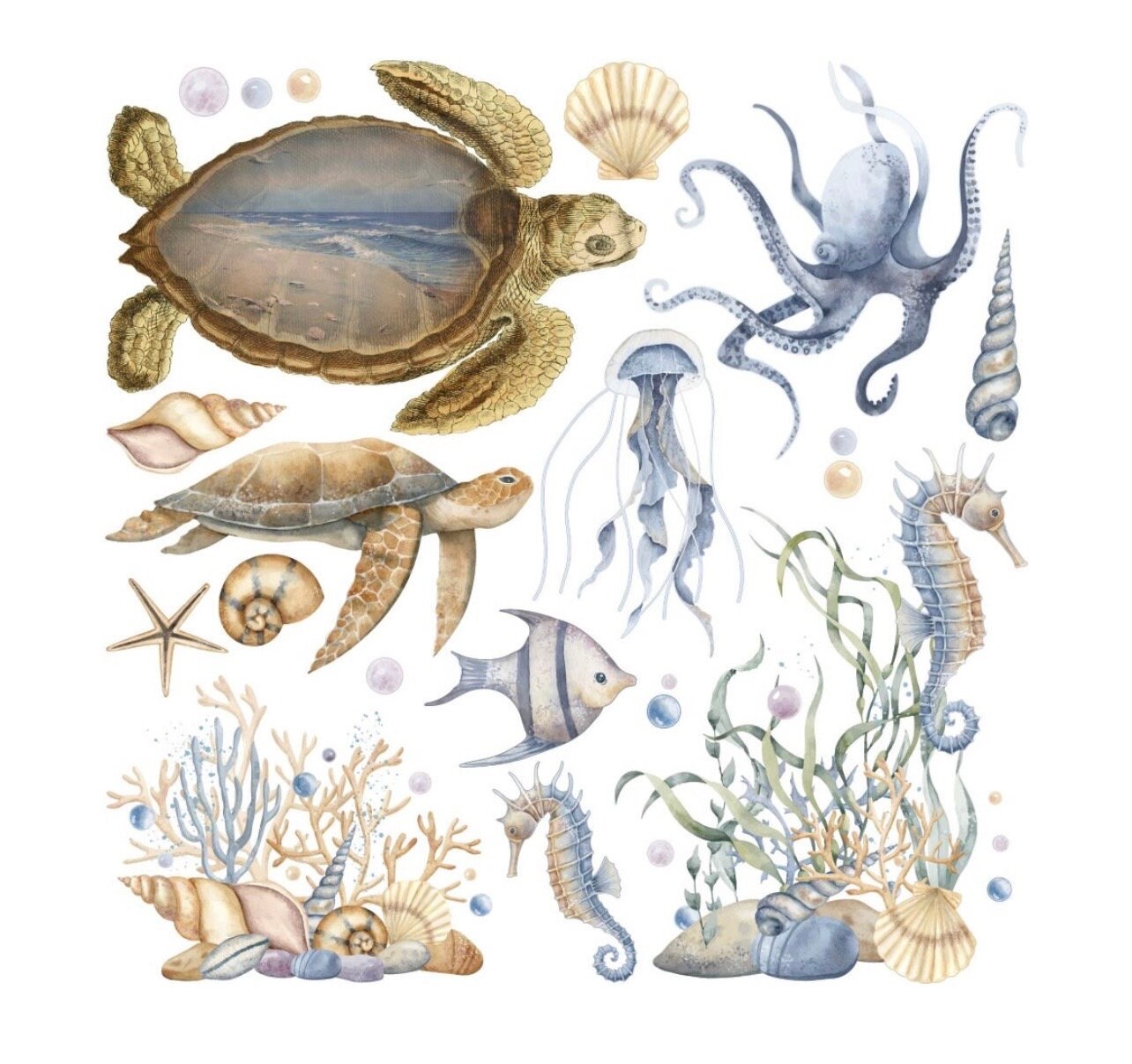 Under the Sea Rub on Transfer 12x12 and or matching Aquarium wood cut out kit!