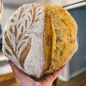 100 year old Sourdough Starter Live. Gift