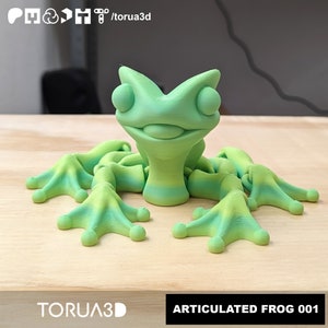 May include: A green articulated frog figurine with a textured surface. The frog has large eyes and a wide smile. The figurine is posed sitting on a wooden surface. The text "ARTICULATED FROG 001" is printed on the surface below the frog.