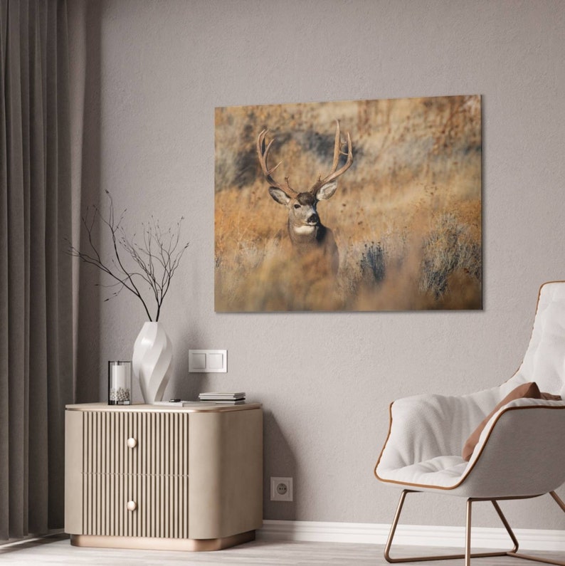 Big Mule Deer Canvas Print Wall Art Home Decor Deer Photo Mule Deer