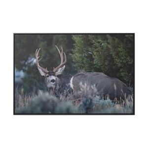 Canvas Wraps, Deer Buck and Doe, Wildlife Art Print, Horizontal Frame, Wall Decor, Hunting Season Gift
