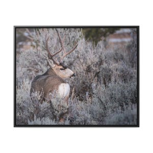 Canvas Wall Art, Wildlife Deer Print, Nature Lover Gift, Home Decor, Rustic Cabin Sign, Mountain Lodge Decor
