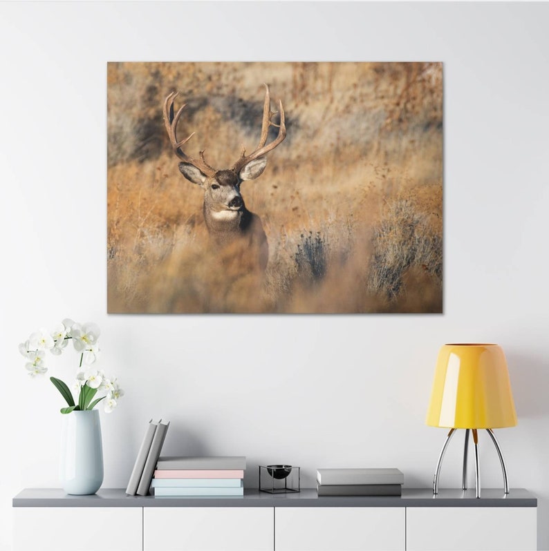 Big Mule Deer Canvas Print Wall Art Home Decor Deer Photo Mule Deer