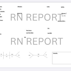 RN Report Sheet