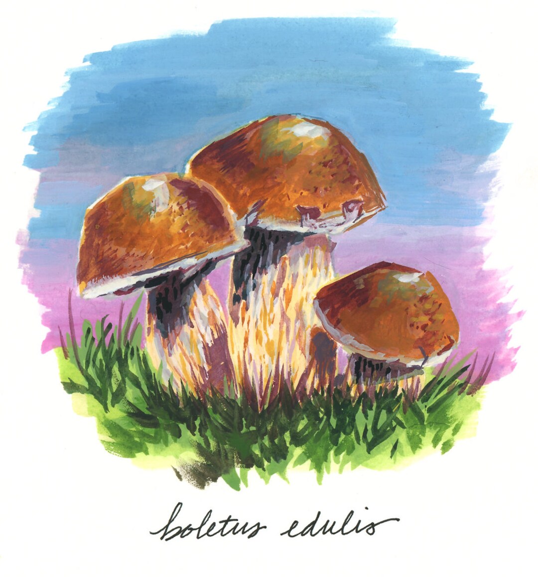 Boletus Edulis Mushroom Print of Handmade Watercolor Original Painting
