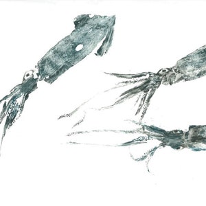 Squid Gyotaku Fish Print- Triple Squid Group