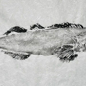 Ling Cod Gyotaku Fish Print