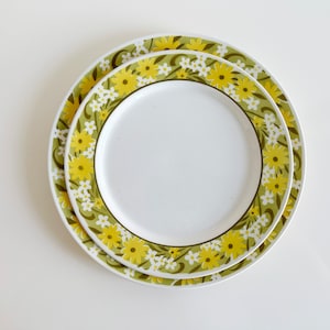 Mikasa Avoca Mediterrania Cera-Stone Floral Plain Edge Flower Power Avocado Dinner Plate & Platter Dinnerware Japan Vintage 1970s