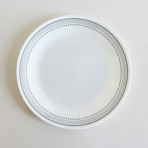 May include: A white ceramic dinner plate with a gray dotted border.