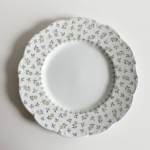 Forget Me Not Green Sterling Ironstone Dinnerware J & G Meakin Staffordshire England Vintage 1950s