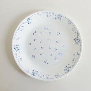 May include: White ceramic plate with a delicate blue floral pattern. The plate features small blue flowers scattered across the surface and a decorative border of blue floral vines. A classic design for everyday use.