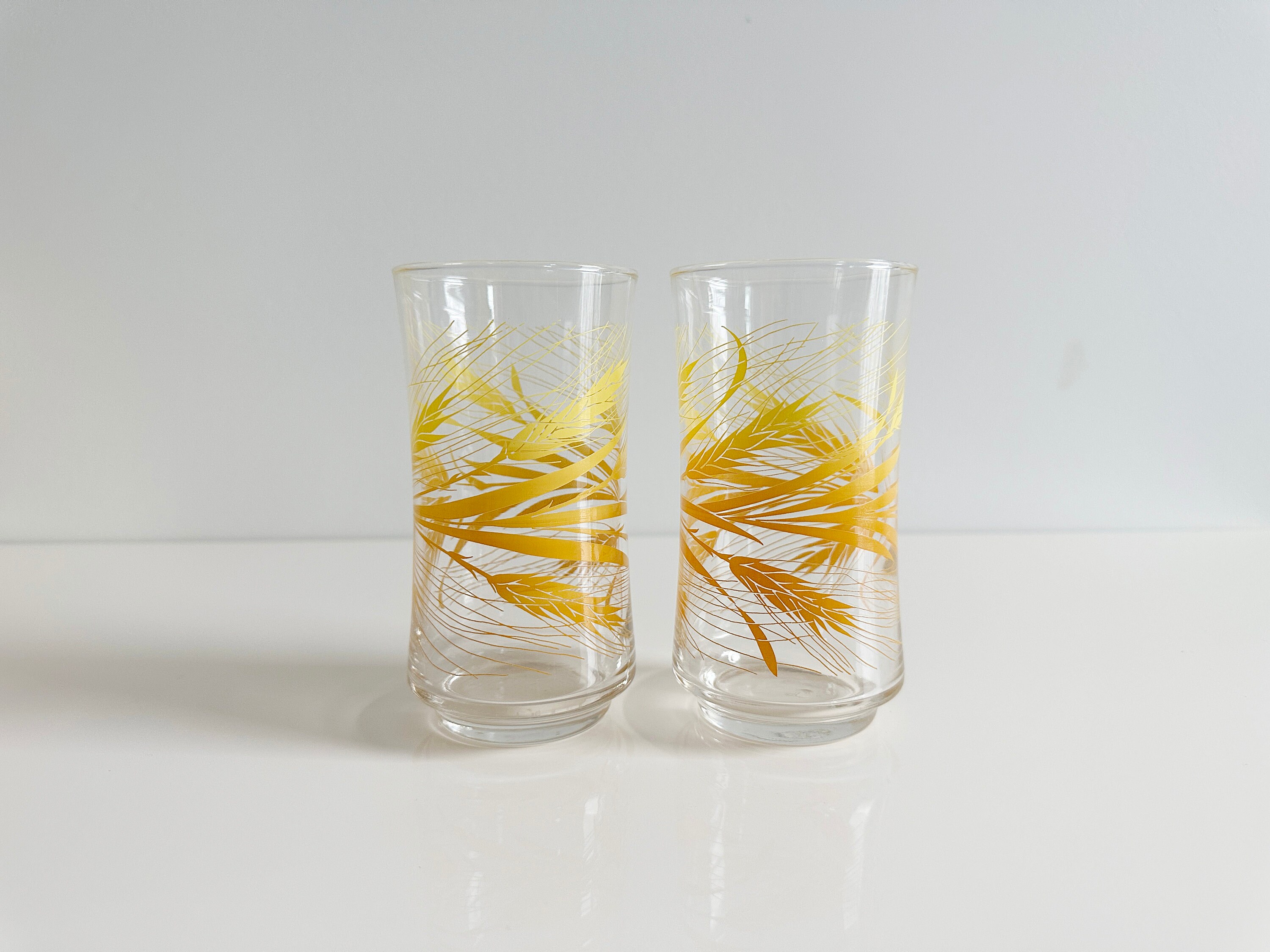 Libbey Vintage Glasses, Set of 4, 16 oz Cooler, Flower Power