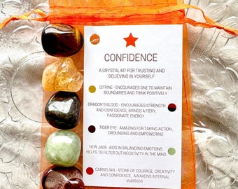 Pode incluir: Um conjunto de seis cristais em uma pequena bolsa de organza laranja. Os cristais são etiquetados com seus nomes e propriedades para a confiança, incluindo citrino, sangue de dragão, olho de tigre, jade novo e cornalina.