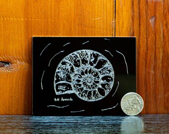 Fossil Engravings on Anodized Aluminum