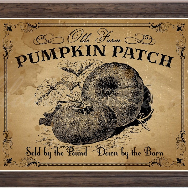 Vintage pumpkin patch sign,  fall farmhouse pumpkin printable, primitive pumpkin patch decor,  pumpkin digital download, ink saver, PNG