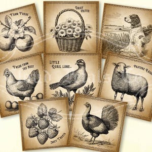 Etiquetas de fazenda vintage, decoração de fazenda para impressão, artesanato primitivo, frango, maçãs, quadrado de fazenda, etiquetas para potes, download digital