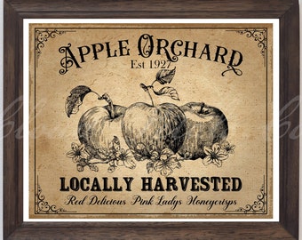 Vintage Apple Orchard Sign, Farmhouse Kitchen Wall Art (Digital Download)