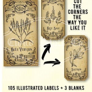 Vintage Apothecary Witchcraft Labels Printable, Medicinal Herbs, Spice ...