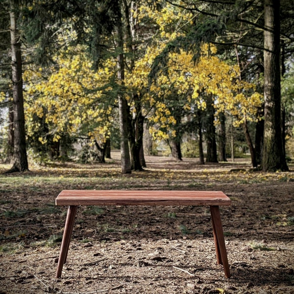 Mahogany Coffee Table