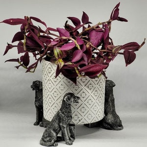 May include: A white ceramic planter with a geometric pattern, featuring three black dog figurines as legs. The planter is filled with a purple leafy plant.