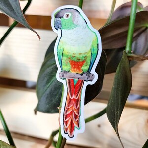 Tropical Bird Lover Sticker | Original Art Vinyl Sticker | Hand Drawn Sticker | Conure | Macaw | Parrot Lover Gift | Bird Lover Gift