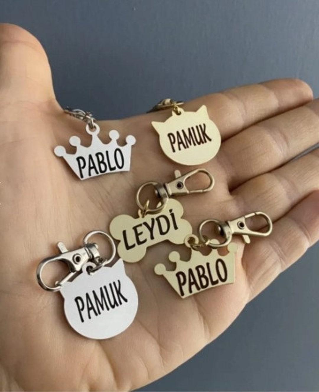 Personalized Cat Name Tag, Cat Leash Name Tag , Chain Leash Name Tag