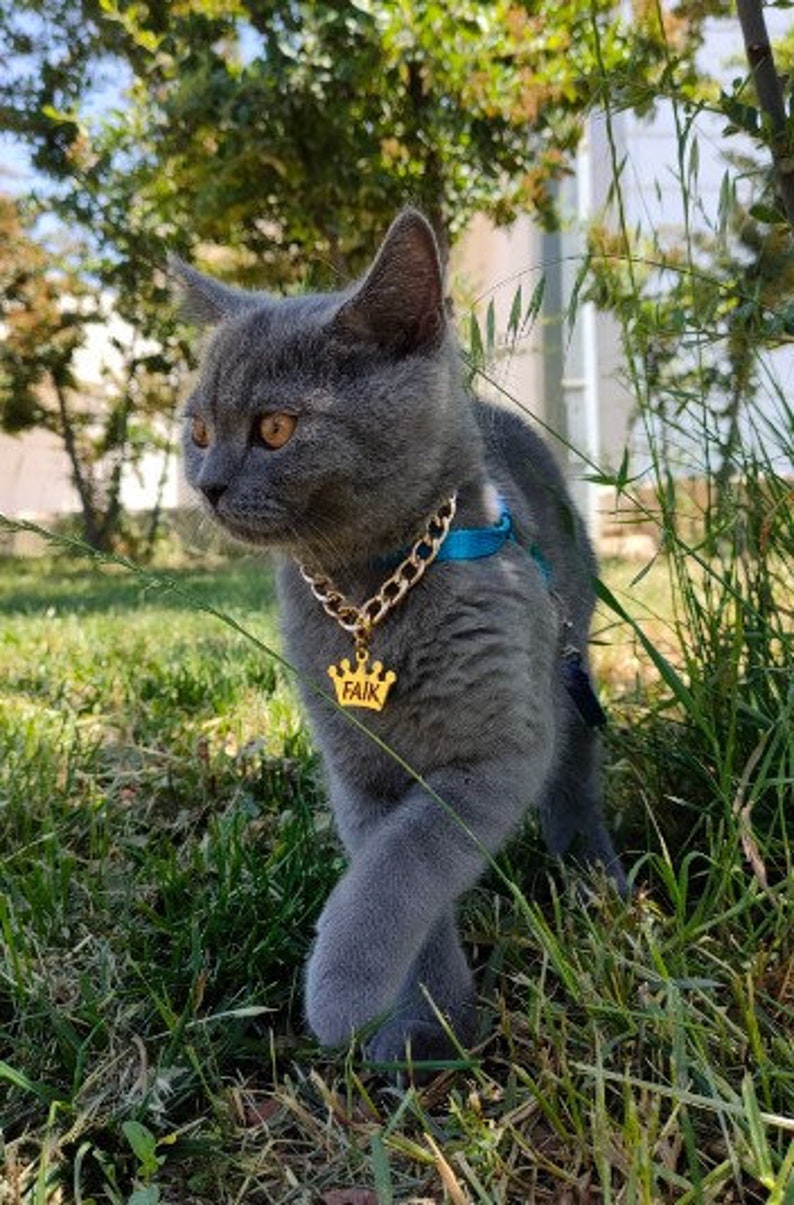 Personalized Cuban Link Cat Necklace, Cat Leash , Chain Leash