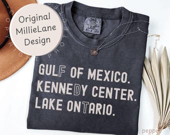 FDT Lake Ontario Kennedy Center Shirt, Funny Protest Tee, Comfort Colors® Anti-Tr*mp Pro-Democracy Activism Gift, Subtle FDT Shirt