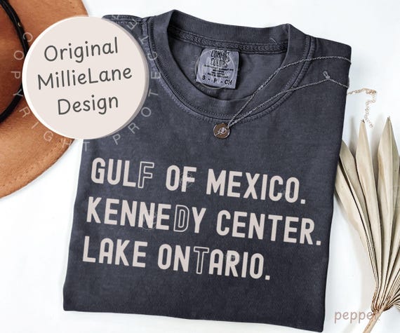 FDT Lake Ontario Kennedy Center Shirt, Funny Protest Tee, Comfort Colors® Anti-Tr*mp Pro-Democracy Activism Gift, Subtle FDT Shirt