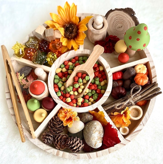 Fall sensory bin loose parts tinker tray, Montessori toy, Sensory kit, Fall sensory toy, Resin letters, Homeschool, Fine motor, Kids...