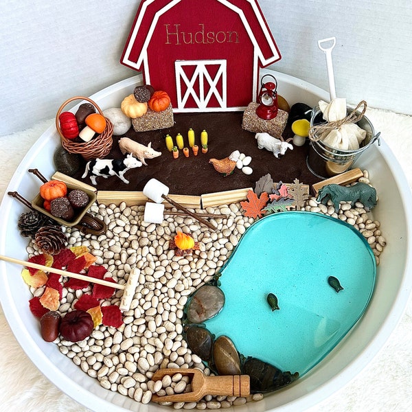 Fall sensory bin, Farm sensory tray, Montessori messy play, Loose parts tinker tray, Fine motor skills, Personalized kids gift, Sensory kit