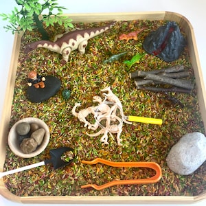 Dinosaur Sensory Bin Montessori Play Kit Sensory Toy Toddler Gift Toddler Activities  Sensory Kit Filler Fine Motor Occupational Therapy